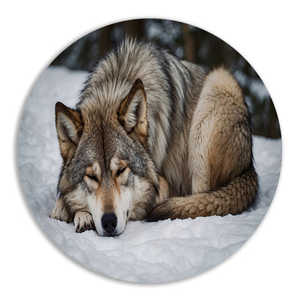 Slapende wolf in winterlandschap forex muurcirkel