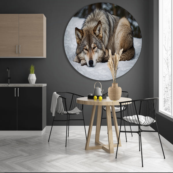 Slapende wolf in winterlandschap forex muurcirkel