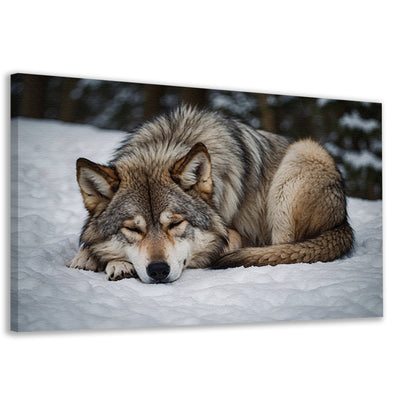 Slapende wolf in winterlandschap canvas