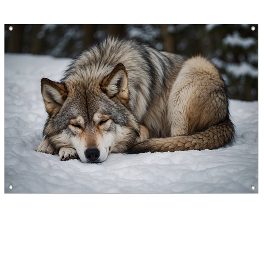 Slapende wolf in winterlandschap tuinposter