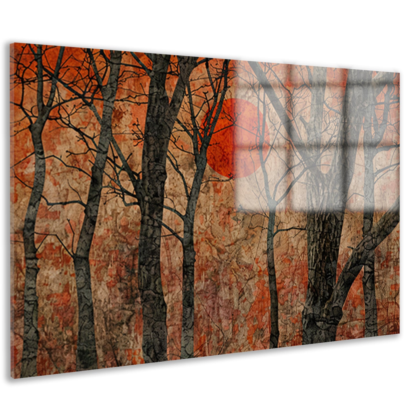 Avondzon door bomen acrylglas