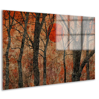 Avondzon door bomen acrylglas