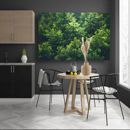 Groene dennenboomtoppen in de ochtendmistposter