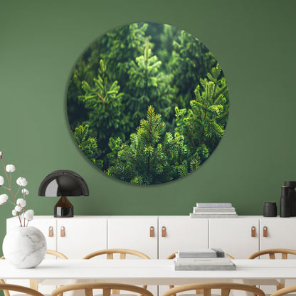 Groene dennenboomtoppen in de ochtendmist aluminium muurcirkel