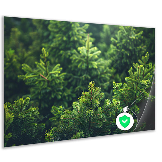 Groene dennenboomtoppen in de ochtendmistposter