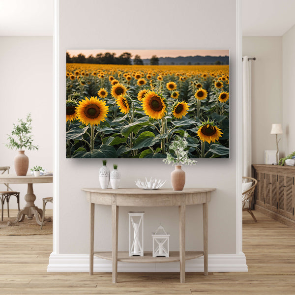 Uitgestrekt zonnebloemveld bij zonsondergang poster