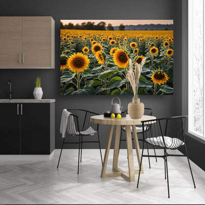 Uitgestrekt zonnebloemveld bij zonsondergang poster