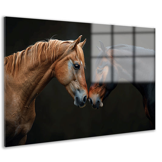 Twee paarden in donkere omgeving acrylglas