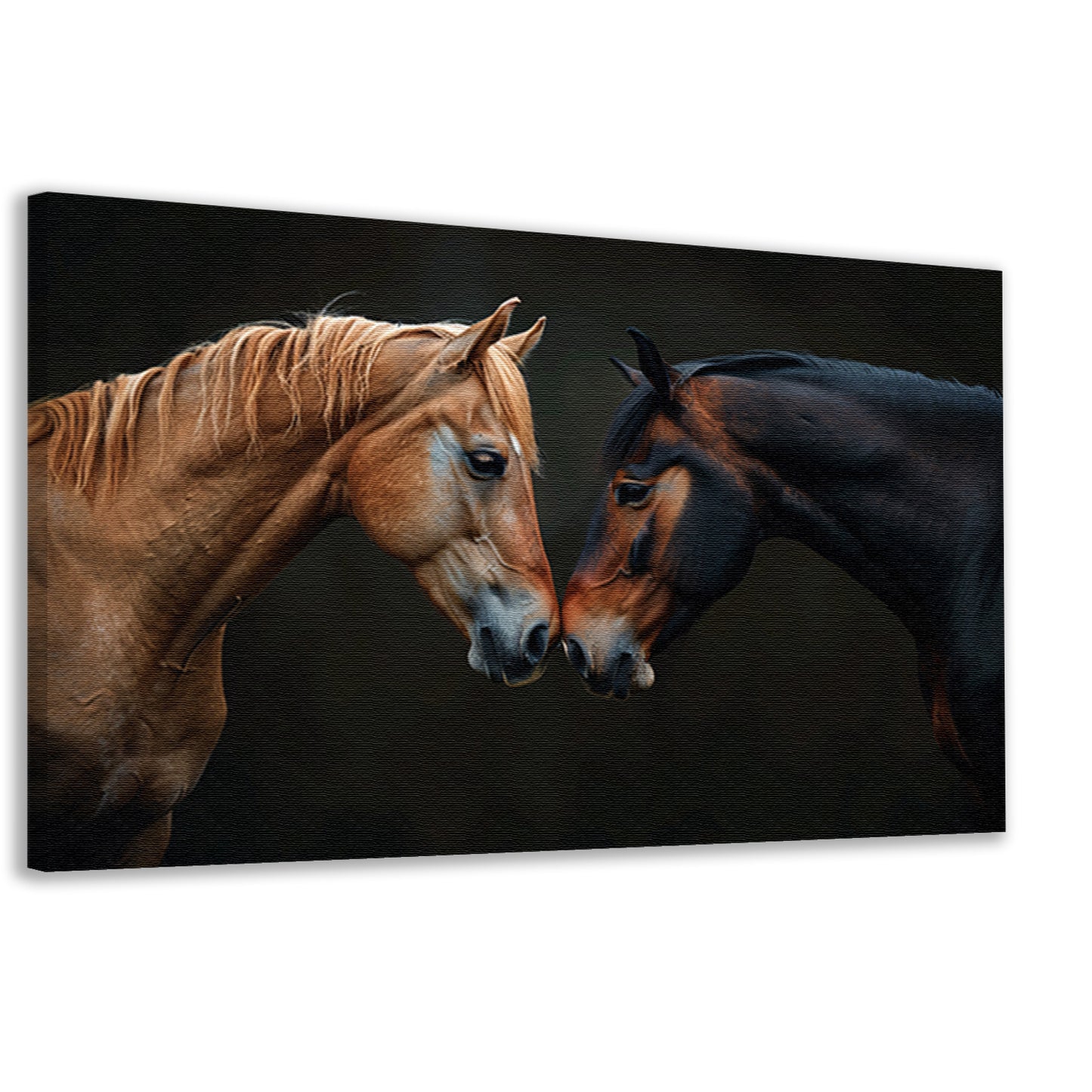 Twee paarden in donkere omgeving canvas