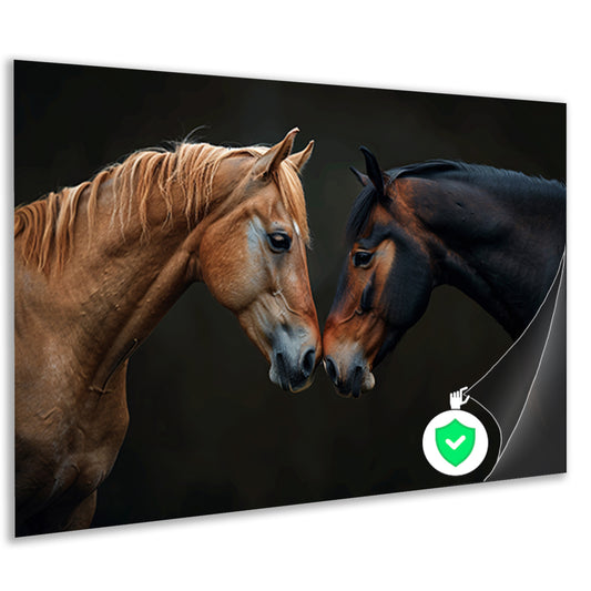 Twee paarden in donkere omgeving poster