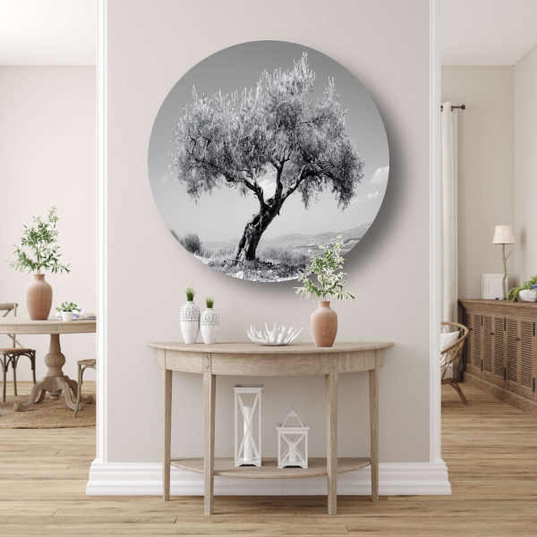 Zwart-wit olijfboom landschap aluminium muurcirkel