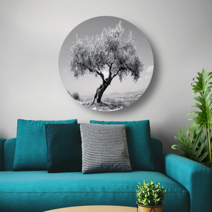 Zwart-wit olijfboom landschap aluminium muurcirkel