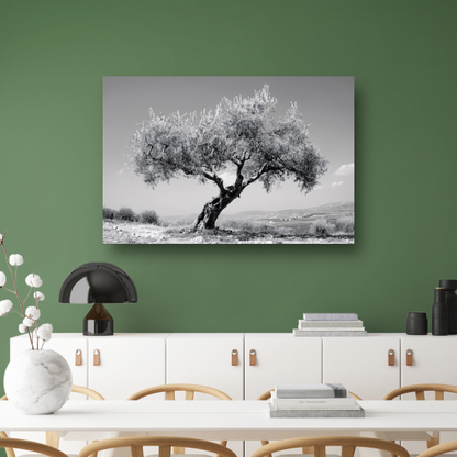 Zwart-wit olijfboom landschap acrylglas