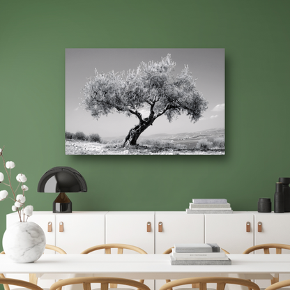 Zwart-wit olijfboom landschap canvas met baklijst