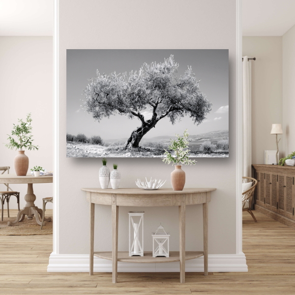 Zwart-wit olijfboom landschap canvas met baklijst