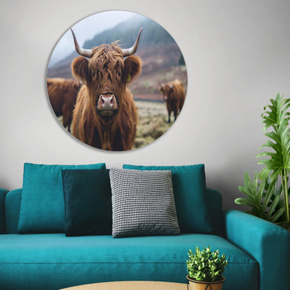 Schotse hooglander in mistig landschap forex muurcirkel
