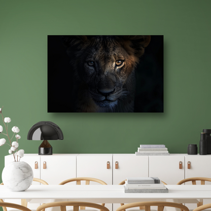 Indringende leeuwenblik in schemerige duisternis acrylglas