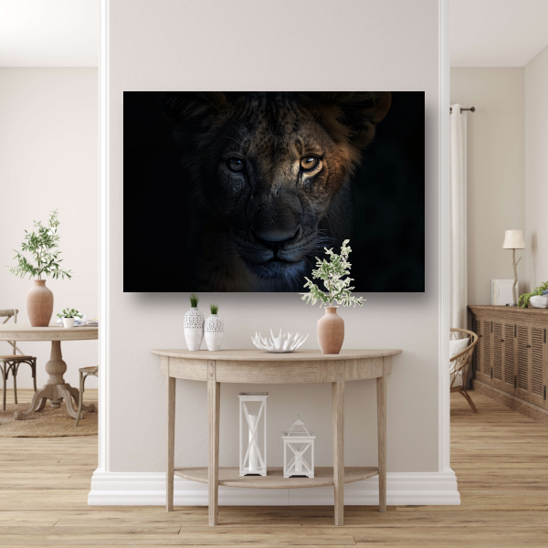 Indringende leeuwenblik in schemerige duisternis acrylglas