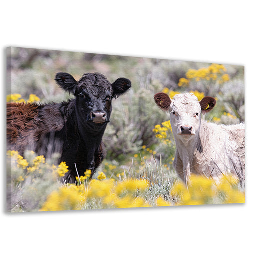 Twee Jonge Kalfjes in een Bloemenveld canvas