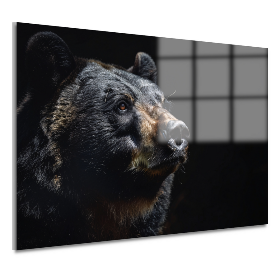 Berenportret in Contrastrijk Zwart-wit acrylglas