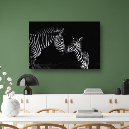 Zebra moeder en veulen in zwart-wit poster
