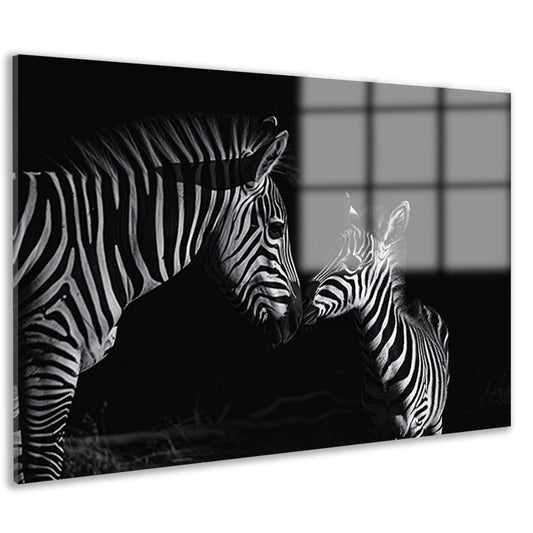Zebra moeder en veulen in zwart-wit acrylglas