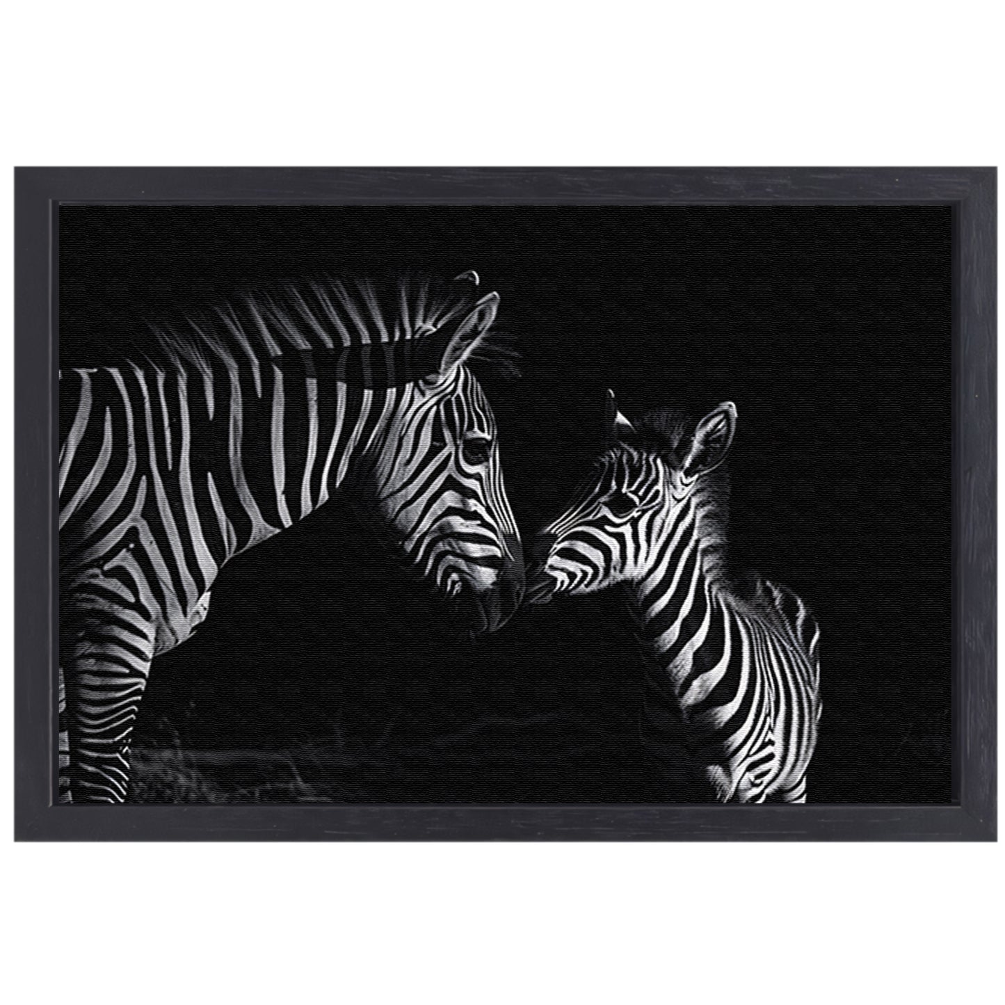 Zebra moeder en veulen in zwart-wit canvas met baklijst