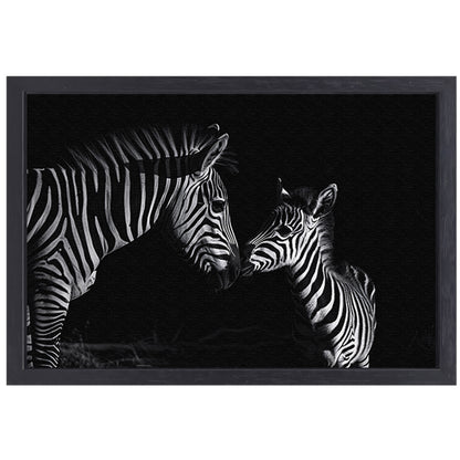 Zebra moeder en veulen in zwart-wit canvas met baklijst