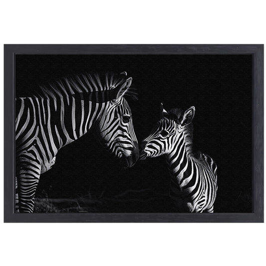 Zebra moeder en veulen in zwart-wit canvas met baklijst