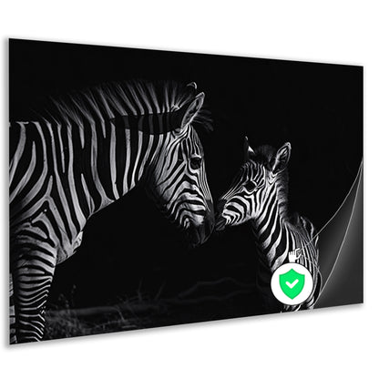 Zebra moeder en veulen in zwart-wit poster