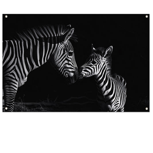 Zebra moeder en veulen in zwart-wit tuinposter