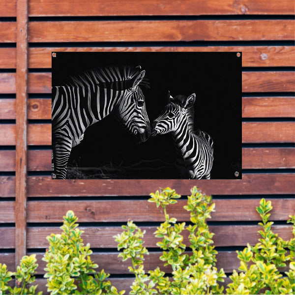Zebra moeder en veulen in zwart-wit tuinposter