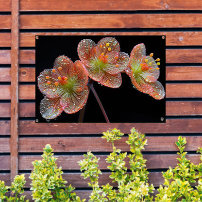 Ochtenddauw op bloemen tuinposter