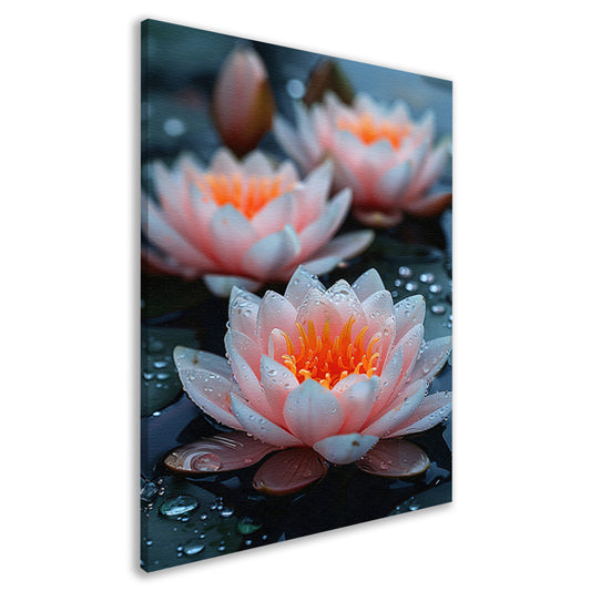 Zachtroze waterlelies met waterdruppels canvas