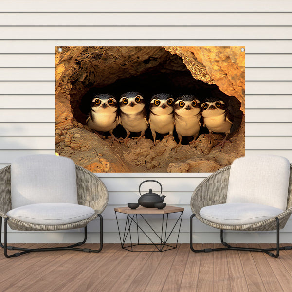 Nieuwsgierige Uilenfamilie in Grot tuinposter