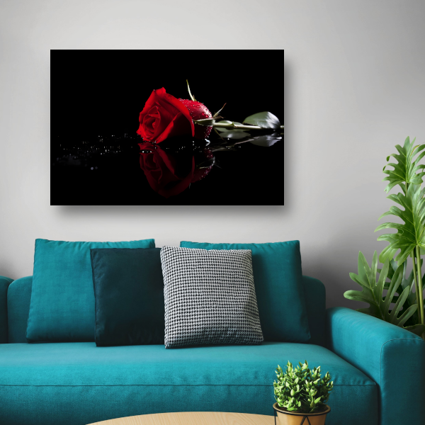 Rode roos met waterdruppels in close-up canvas met baklijst