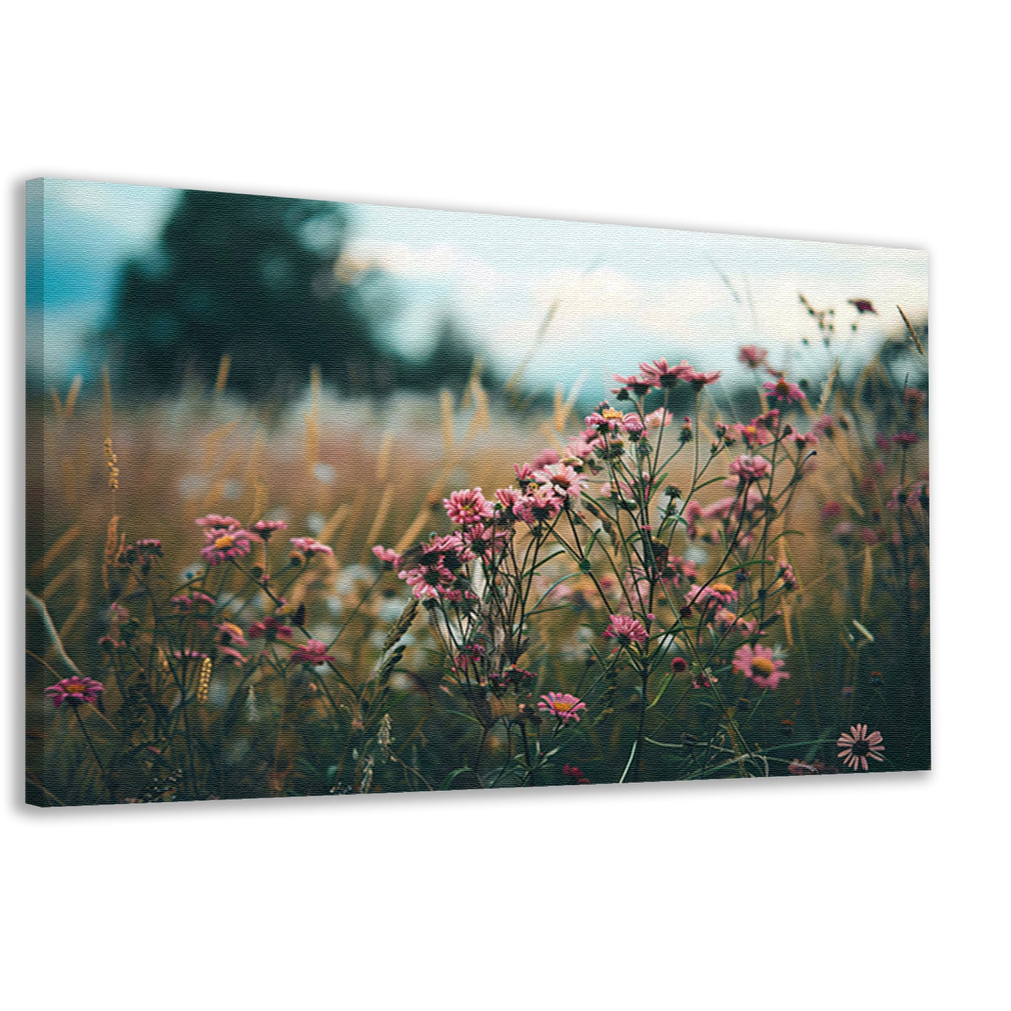 Bloemenveld bij zonsondergang in de natuur canvas