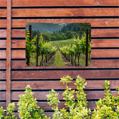Wijngaard in de vallei met ochtendmist tuinposter