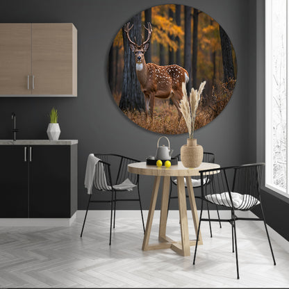 Majestueus hert in het herfstbos aluminium muurcirkel