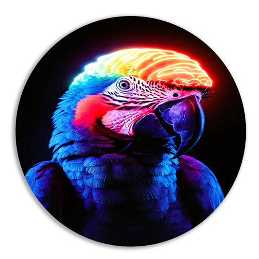 Kleurrijke papegaai met neon hersenen aluminium muurcirkel