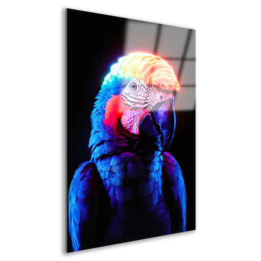 Kleurrijke papegaai met neon hersenen acrylglas