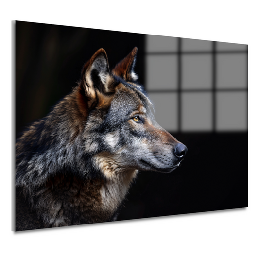 Intense Blik van een Wolf in Duisternis acrylglas