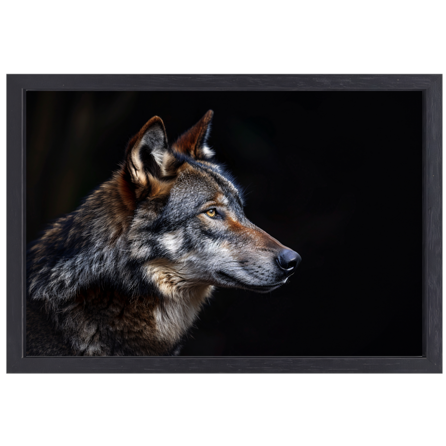 Intense Blik van een Wolf in Duisternis canvas met baklijst