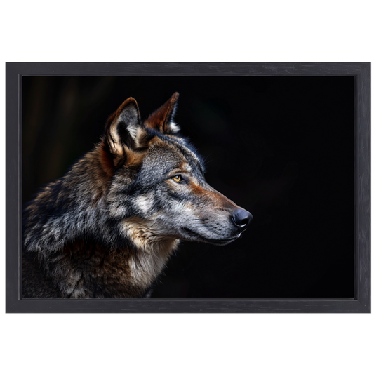 Intense Blik van een Wolf in Duisternis canvas met baklijst