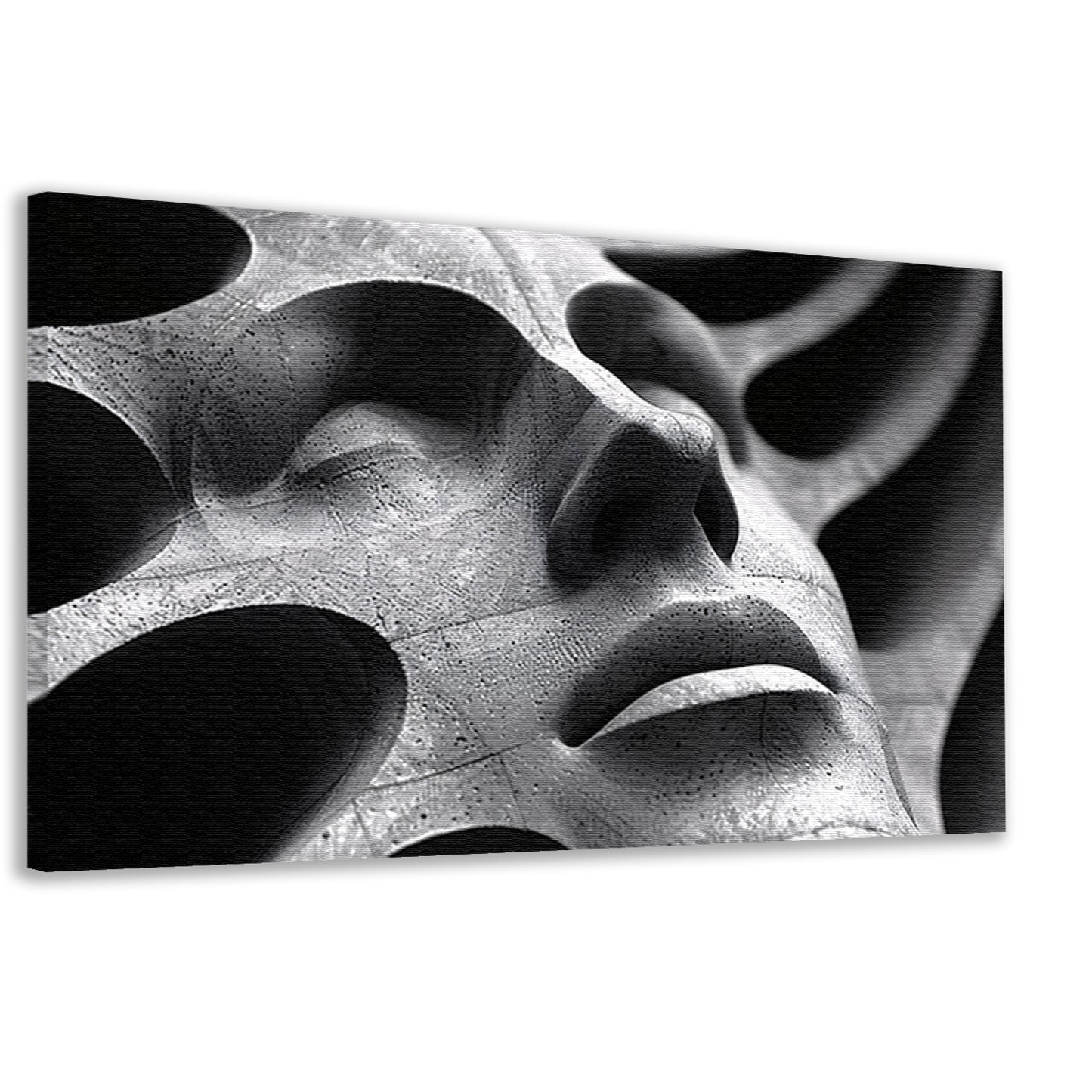 Abstract Buste in Schaduw en Licht canvas
