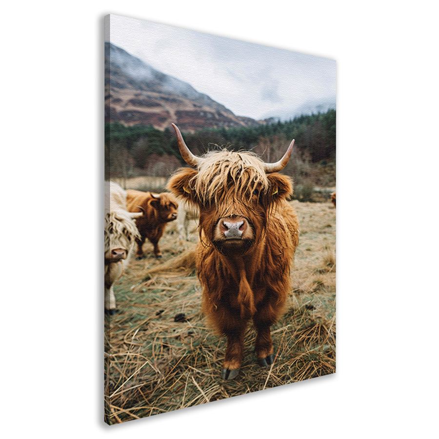 Schotse Hooglander in Mistig Landschap canvas