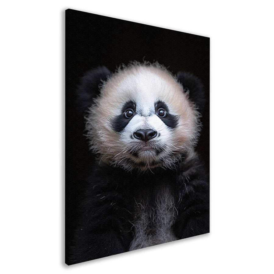 Portret van een Jonge Panda in Zwart-Wit canvas
