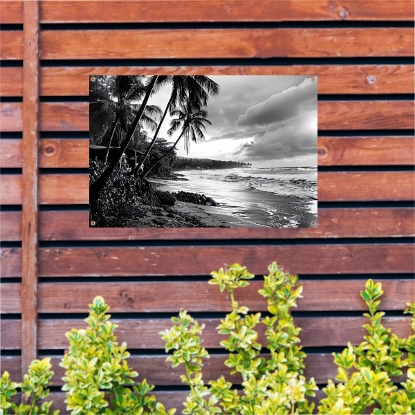 Zwart-wit strand met palmbomen tuinposter