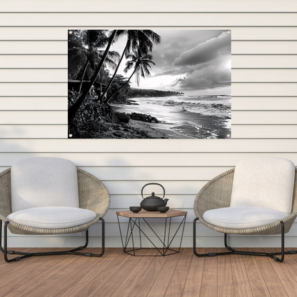 Zwart-wit strand met palmbomen tuinposter