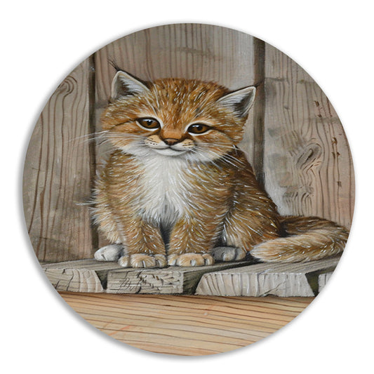 Schattig katje op houten vloer schilderij forex muurcirkel